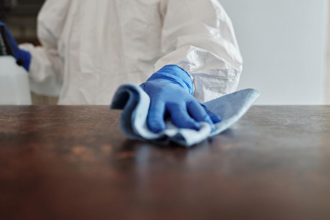 A person with blue gloves cleaning before selling a house with pets.  